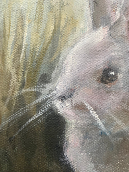 'White Rabbit' 12x12" Oil Painting