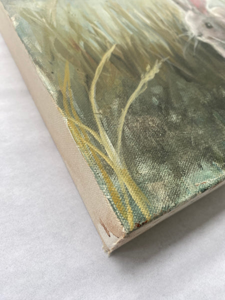 'White Rabbit'  12x12" Oil Painting