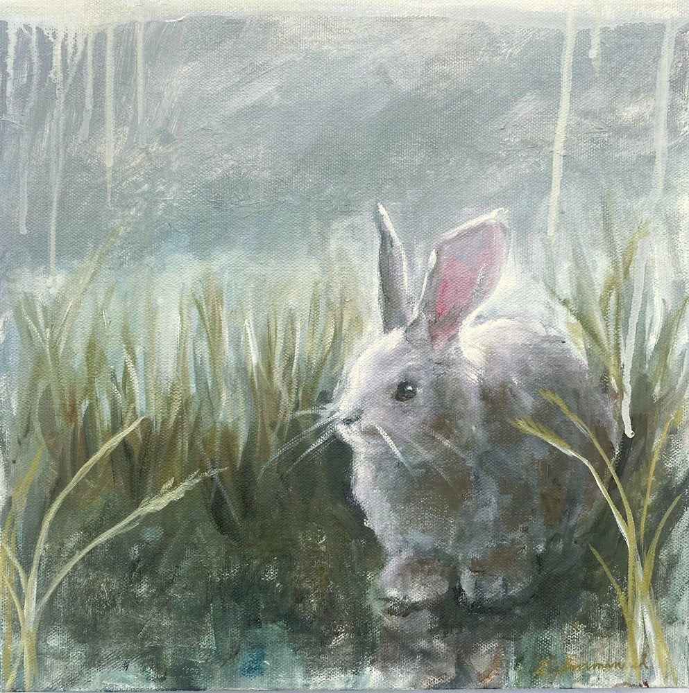 'White Rabbit' 12x12" Oil Painting