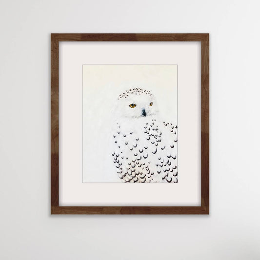 'Snowy Owl' Fine Art Print