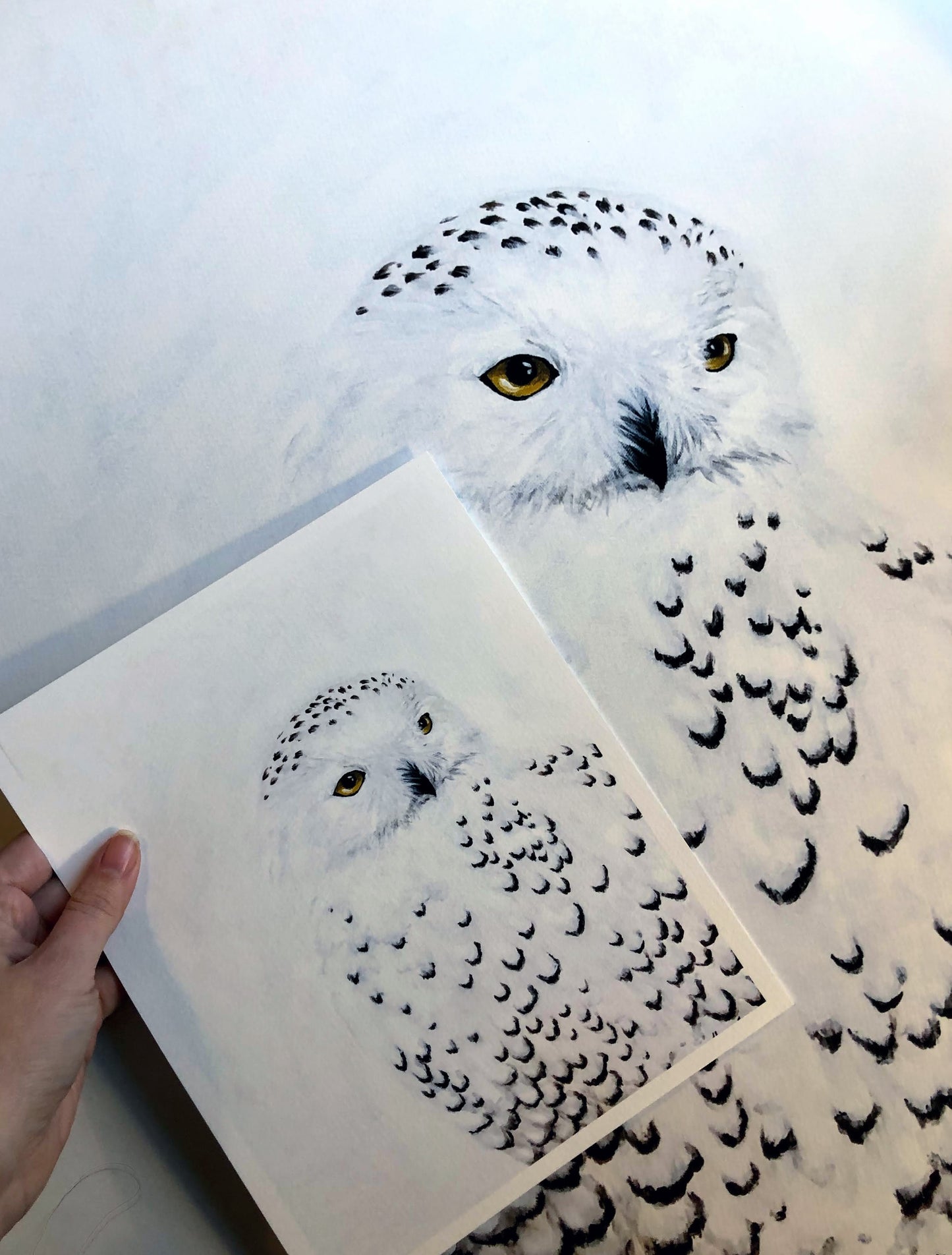 'Snowy Owl' Fine Art Print