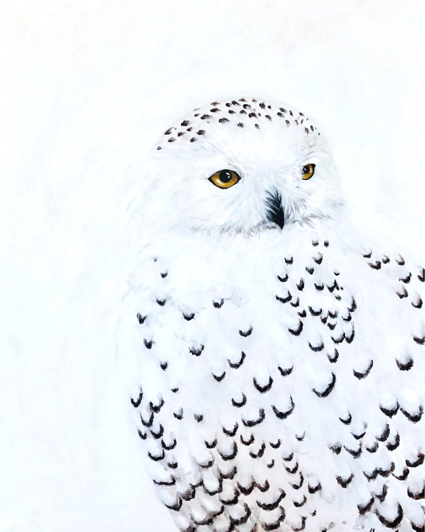 'Snowy Owl' Fine Art Print